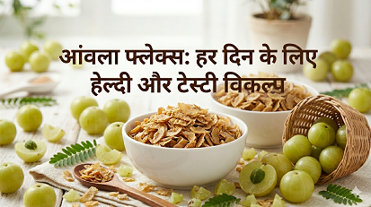 आंवला फ्लेक्स: हर दिन के लिए हेल्दी और टेस्टी विकल्प