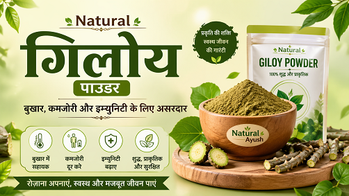 Natural Giloy Powder – बुखार, कमजोरी और इम्युनिटी के लिए असरदार
