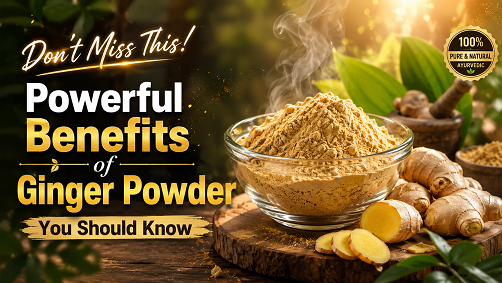 Don’t Miss This! Powerful Benefits of Ginger Powder You Should Know