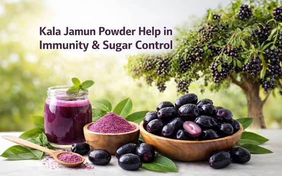 Natural Kala Jamun Powder | Immunity & Sugar Control Support