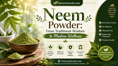 Neem Powder: From Traditional Wisdom to Modern Wellness