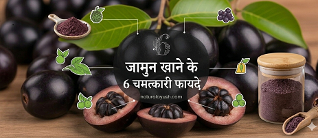  जामुन खाने के 6 चमत्कारी फायदे | naturalayush.com