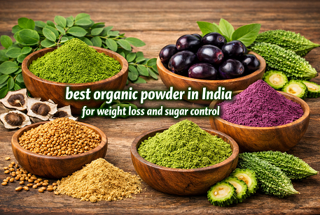 Best Organic Powders in India for Weight Loss & Sugar Control