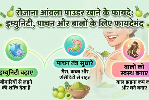 रोजाना आंवला पाउडर खाने के फायदे: इम्युनिटी, पाचन और बालों के लिए फायदेमंद :-