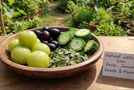 Natural Herbal Powders के साथ Daily Ayurvedic Routine