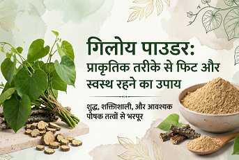 गिलोय पाउडर: प्राकृतिक तरीके से फिट और स्वस्थ रहने का उपाय