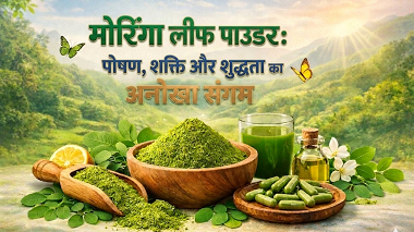 मोरिंगा लीफ पाउडर: पोषण, शक्ति और शुद्धता का अनोखा संगम