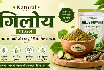 Natural Giloy Powder – बुखार, कमजोरी और इम्युनिटी के लिए असरदार