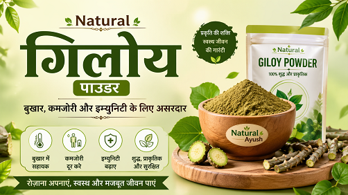 Natural Giloy Powder – बुखार, कमजोरी और इम्युनिटी के लिए असरदार