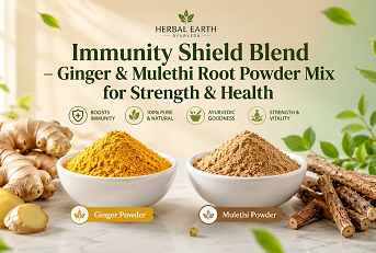 Immunity Shield Blend – Ginger & Mulethi Root Powder Mix for Strength & Health