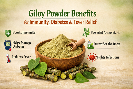 Giloy Powder Benefits for Immunity, Diabetes & Fever Relief