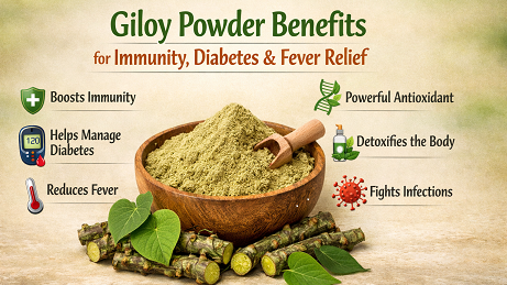 Giloy Powder Benefits for Immunity, Diabetes & Fever Relief
