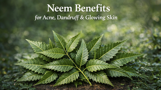 Organic Neem Leaf Powder – For Acne, Dandruff & Glowing Skin
