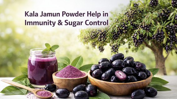 Natural Kala Jamun Powder | Immunity & Sugar Control Support