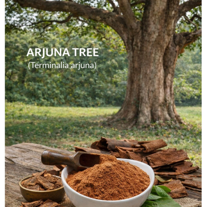 Arjun Chaal Powder