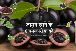  जामुन खाने के 6 चमत्कारी फायदे | naturalayush.com