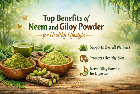 Top Benefits of Neem and Giloy Powder for Healthy Lifestyle