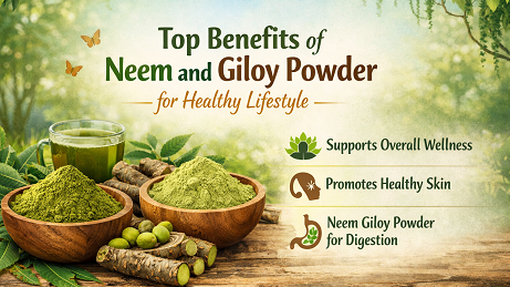 Top Benefits of Neem and Giloy Powder for Healthy Lifestyle