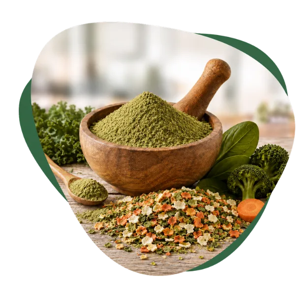 Natural Ayush herbal powder with fresh vegetables