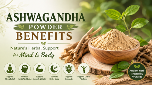 Ashwagandha Powder Benefits – Nature’s Herbal Support for Mind & Body