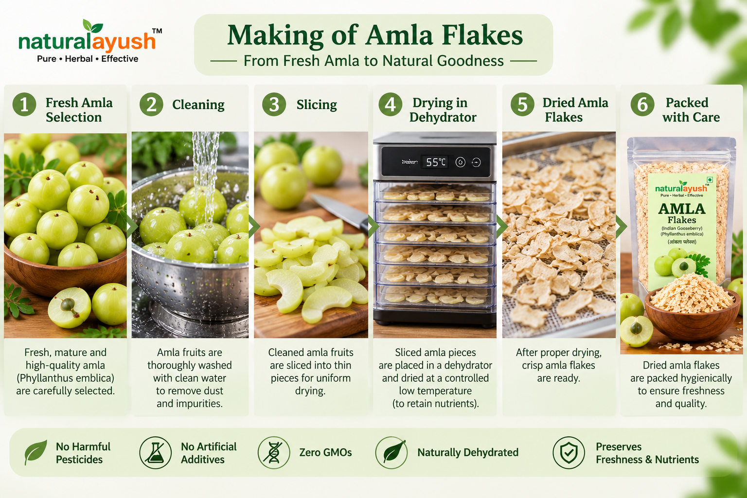 Amla Flakes (Phyllanthus emblica) photo 2