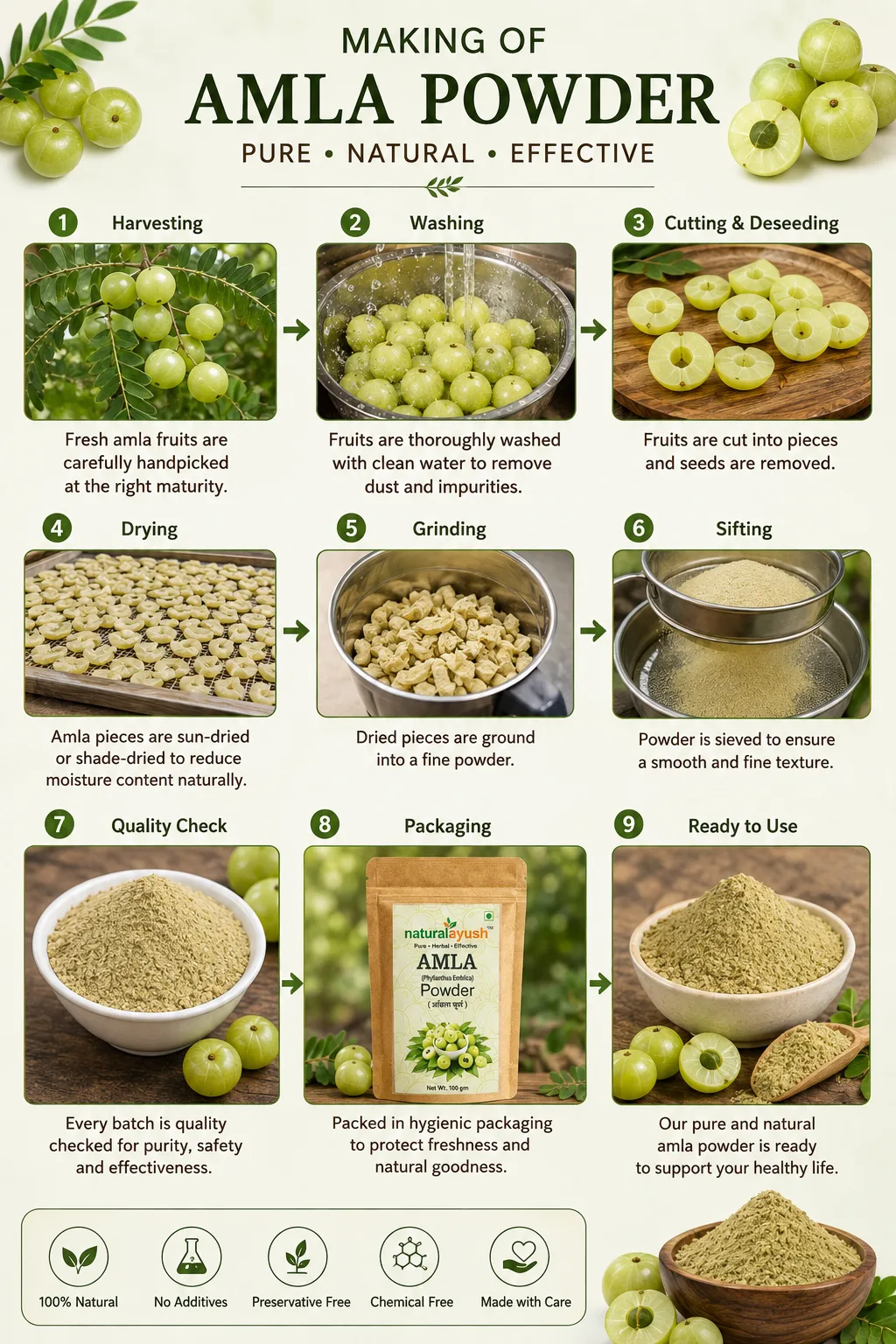 Amla Powder thumbnail 5