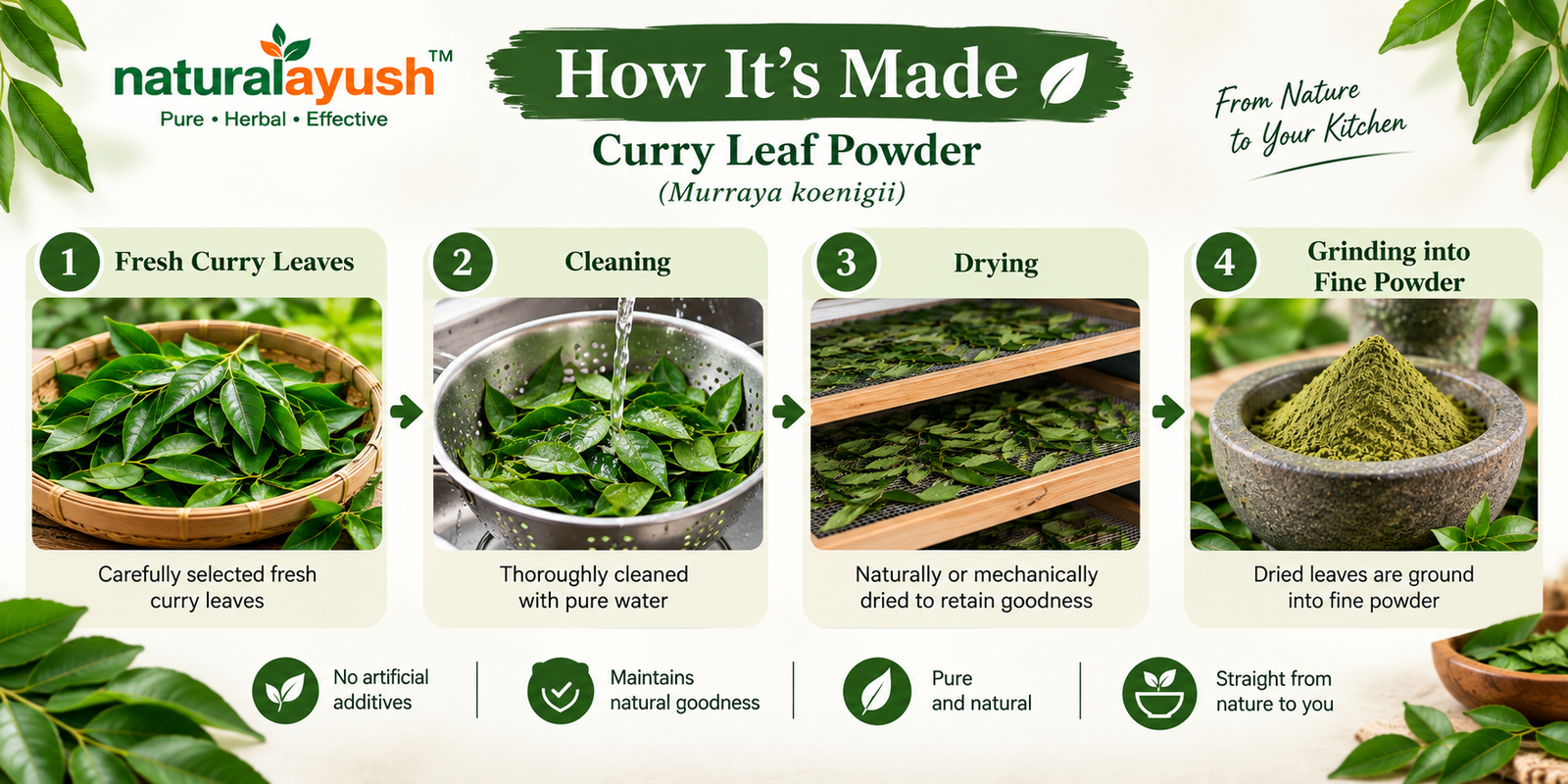 Curry Leaves Powder (Murraya koenigii) photo 2