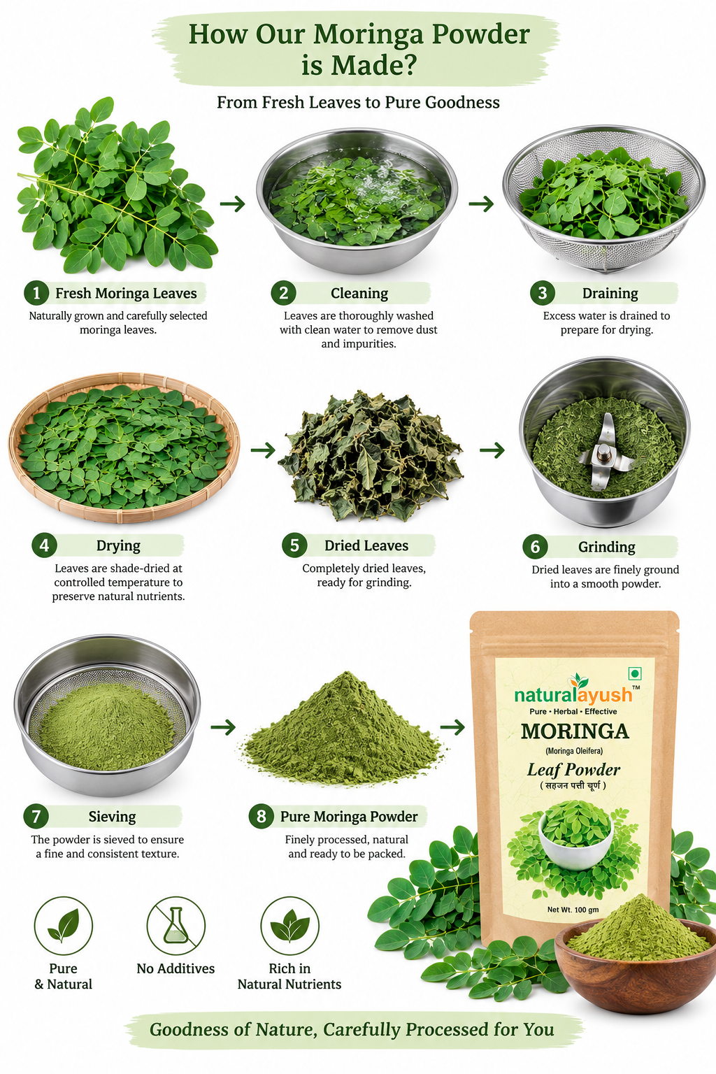 Moringa Leaves Powder (Moringa oleifera) thumbnail 3