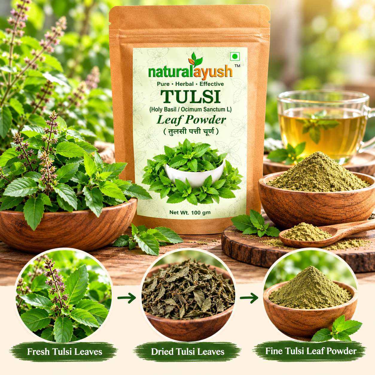Tulsi Powder (Ocimum tenuiflorum) thumbnail 6
