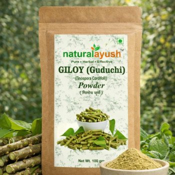 Giloy Powder