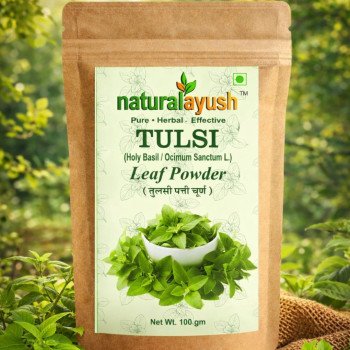 Tulsi Powder